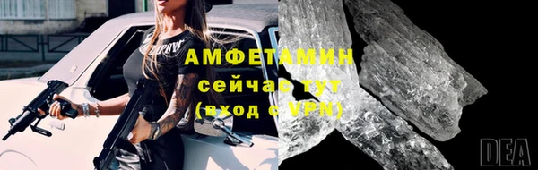 твердый Арсеньев