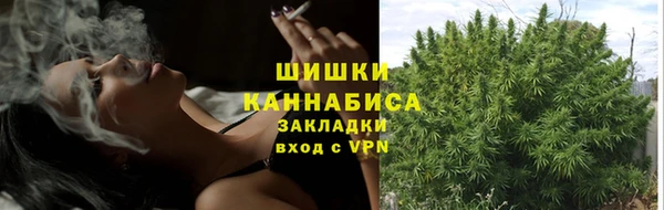 spice Армянск