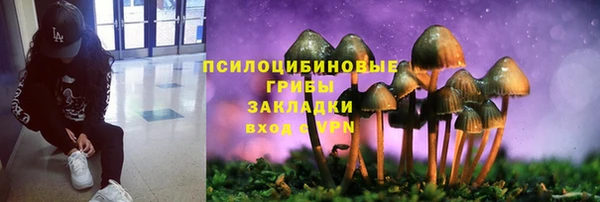 spice Армянск