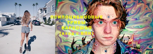 твердый Арсеньев
