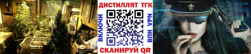 Купить где  Кяхта  ТГК Wax 