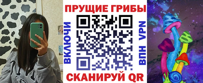Купить закладки  Кяхта  Псилоцибиновые грибы Magic Shrooms 